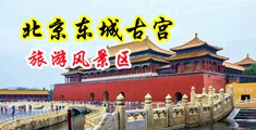 鸡巴大长插操逼七东北网站中国北京-东城古宫旅游风景区